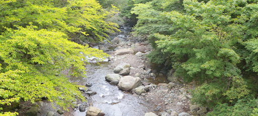 丹沢の自然