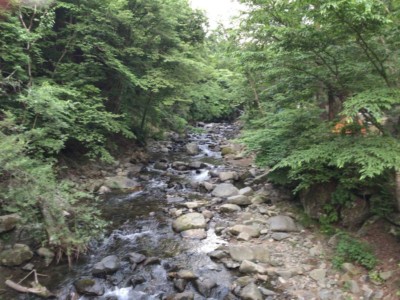 道志の森キャンプ場川沿いのサイト