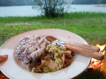 キャンプ飯　鶏のネギ塩焼きのっけごはん