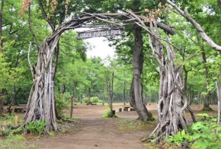 長岡市おぐに森林公園